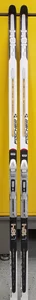 Fischer Active Cruiser